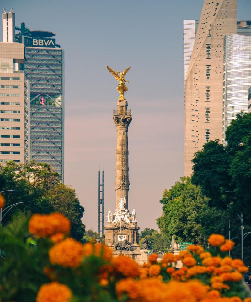 Reforma
